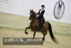 22BUCK_00028 proof