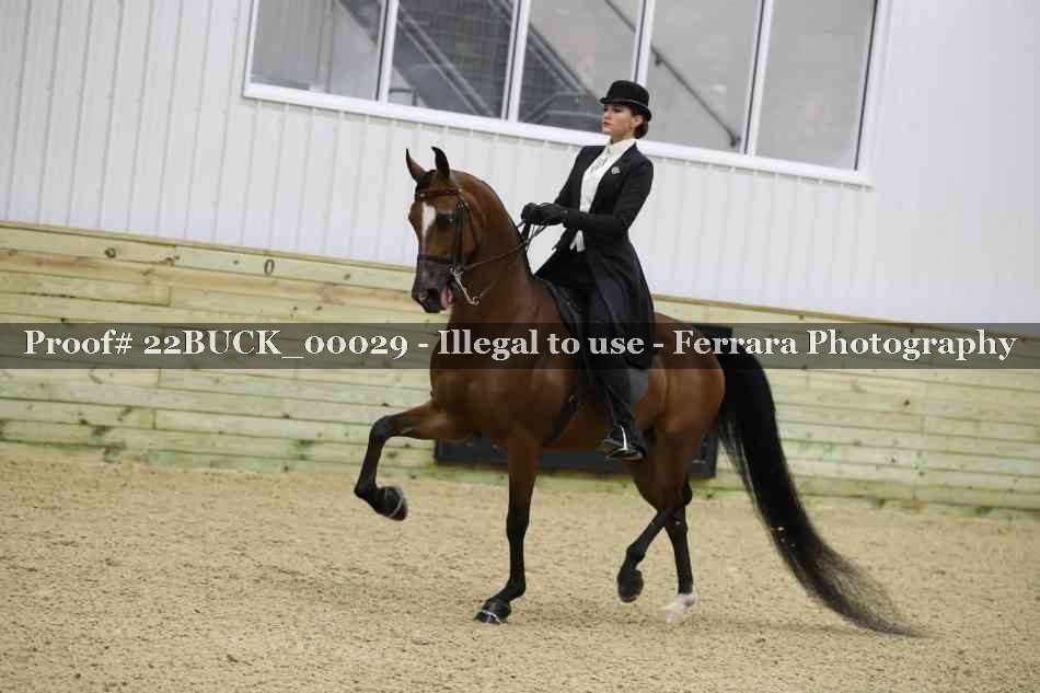 Proof 22BUCK_00029