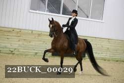 22BUCK_00029 proof