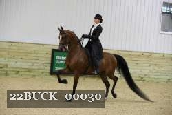 22BUCK_00030 proof