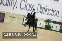 22BUCK_00031 proof