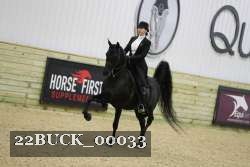 22BUCK_00033 proof