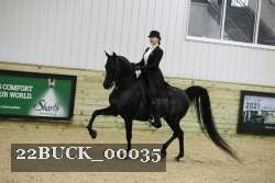 22BUCK_00035 proof