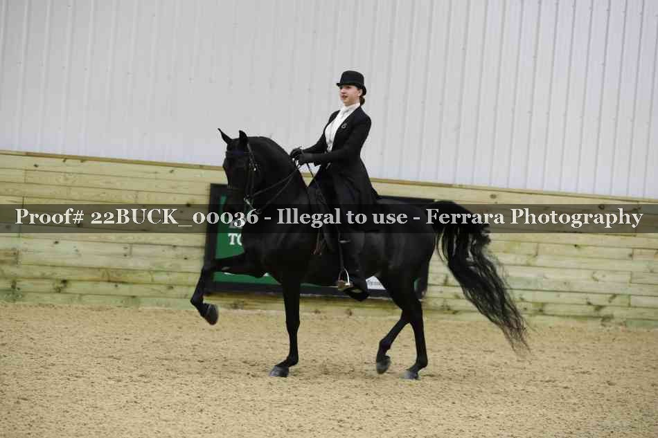 Proof 22BUCK_00036