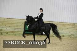 22BUCK_00036 proof