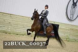 22BUCK_00037 proof