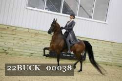 22BUCK_00038 proof