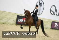 22BUCK_00040 proof