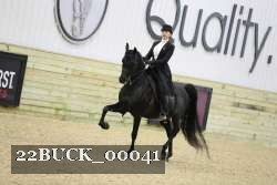 22BUCK_00041 proof