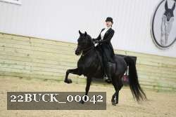22BUCK_00042 proof