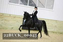 22BUCK_00043 proof