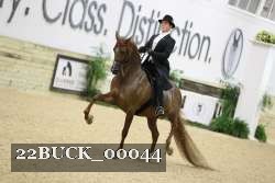 22BUCK_00044 proof