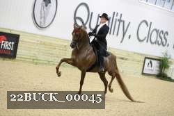 22BUCK_00045 proof