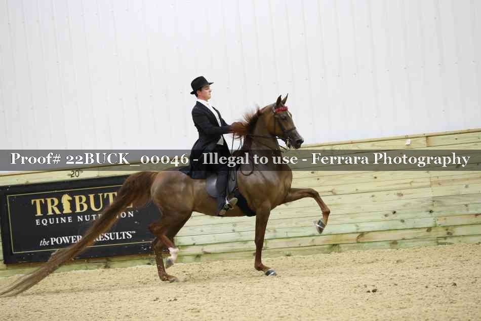 Proof 22BUCK_00046