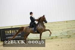 22BUCK_00046 proof