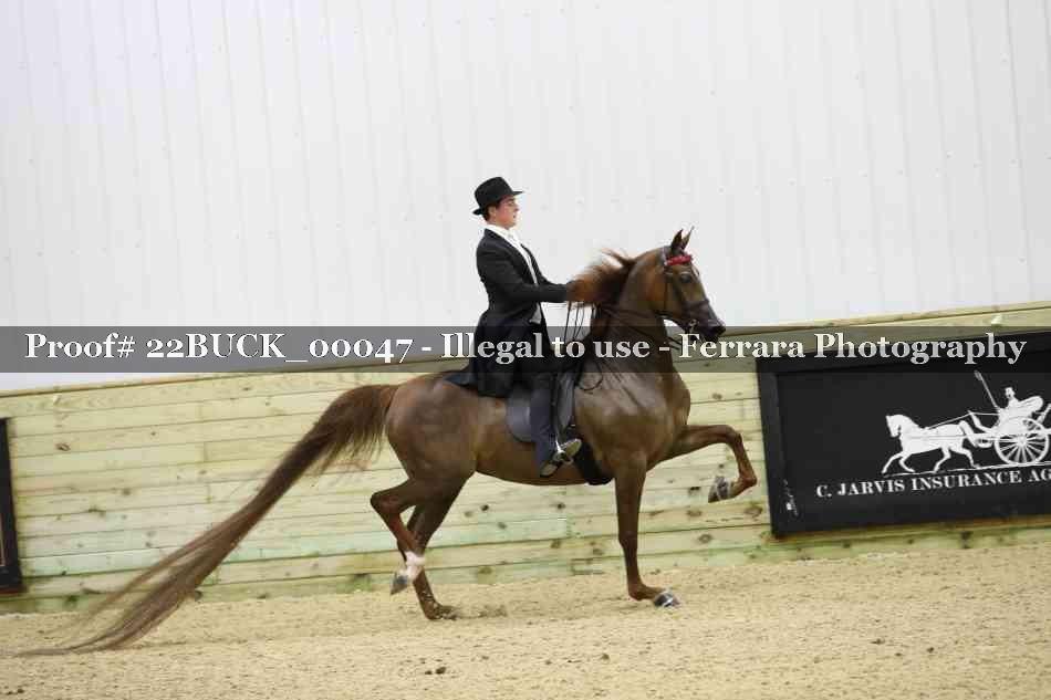 Proof 22BUCK_00047