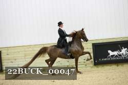 22BUCK_00047 proof