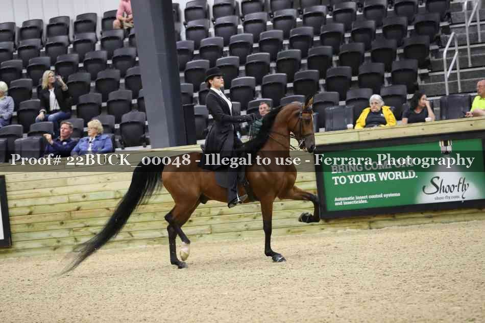 Proof 22BUCK_00048