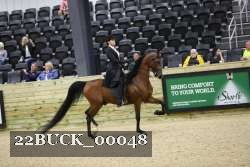 22BUCK_00048 proof