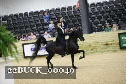 22BUCK_00049 proof