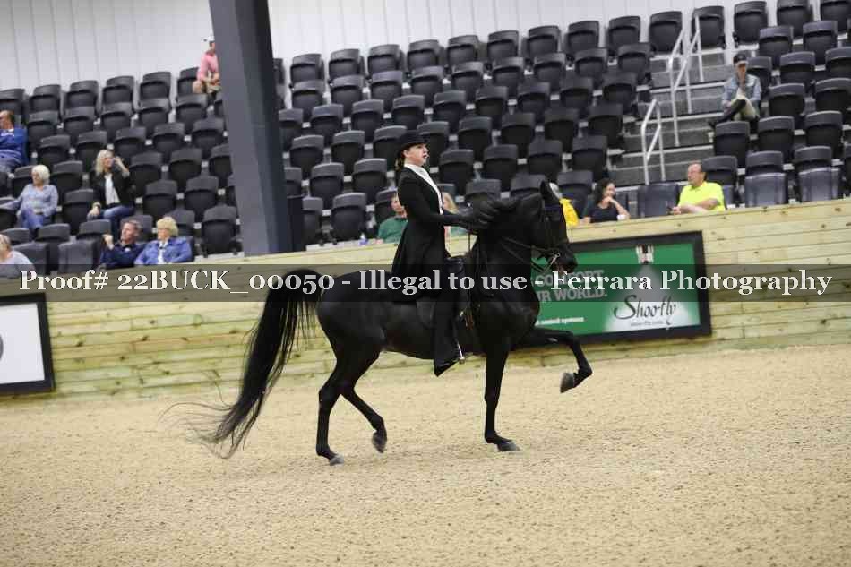 Proof 22BUCK_00050