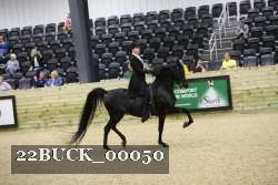 22BUCK_00050 proof