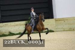 22BUCK_00051 proof