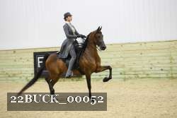 22BUCK_00052 proof