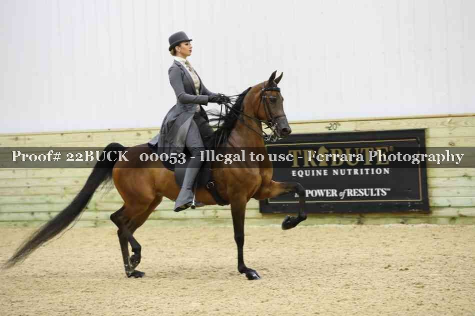 Proof 22BUCK_00053