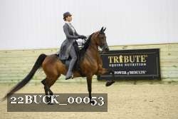 22BUCK_00053 proof