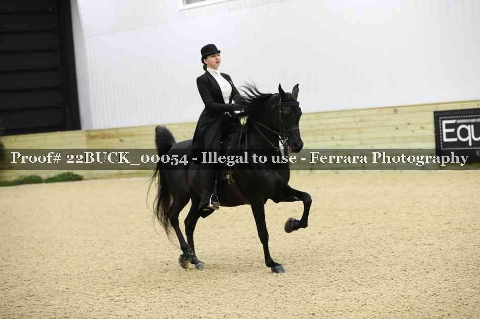 Proof 22BUCK_00054