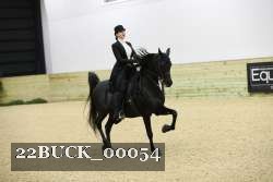 22BUCK_00054 proof