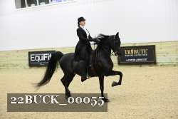 22BUCK_00055 proof