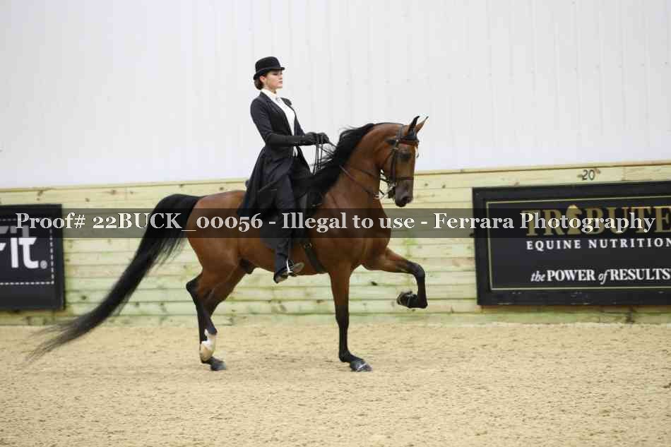 Proof 22BUCK_00056