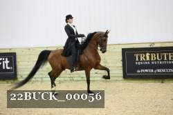 22BUCK_00056 proof