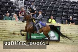 22BUCK_00061 proof