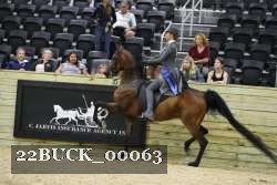 22BUCK_00063 proof