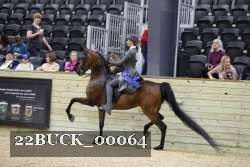 22BUCK_00064 proof