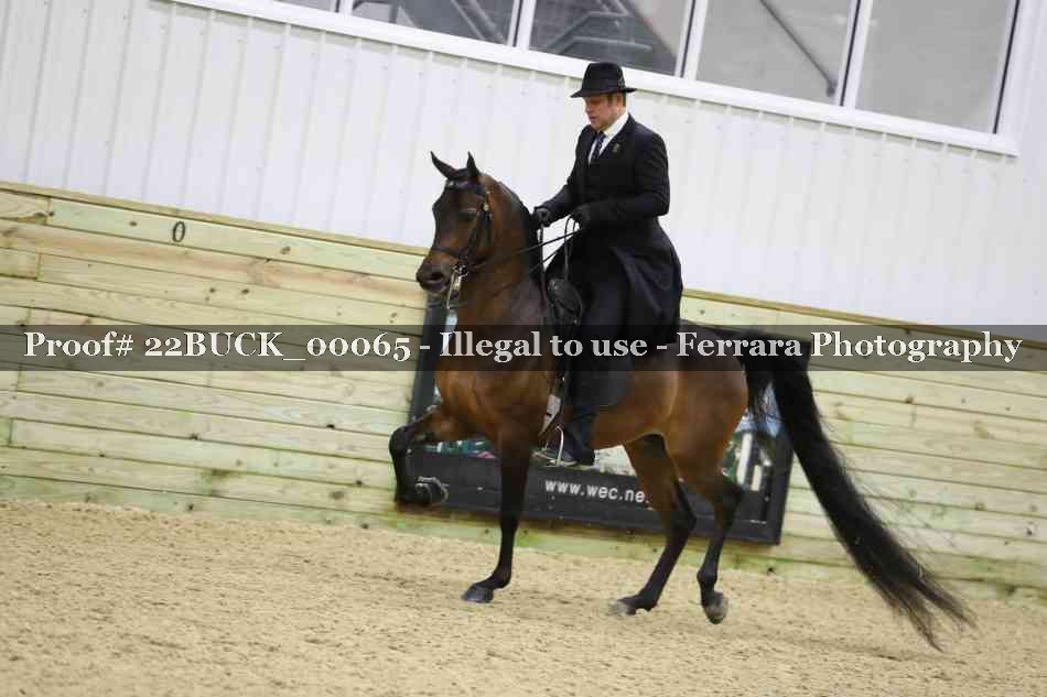 Proof 22BUCK_00065
