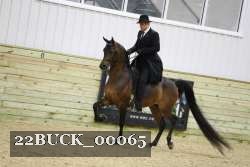 22BUCK_00065 proof