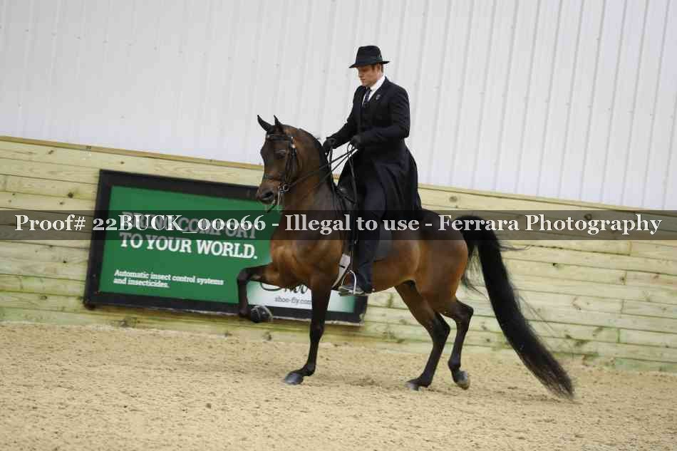 Proof 22BUCK_00066