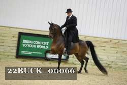 22BUCK_00066 proof