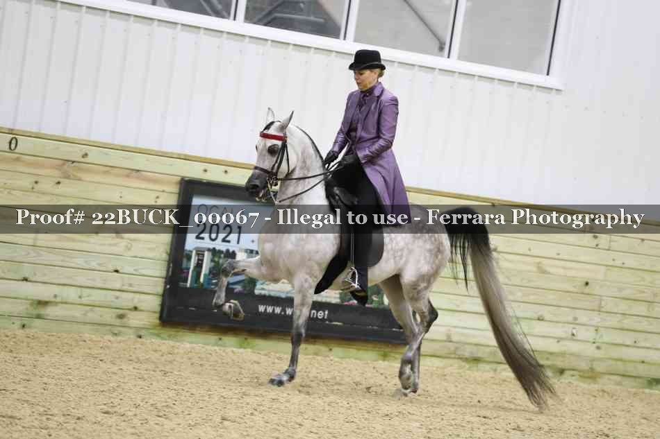 Proof 22BUCK_00067