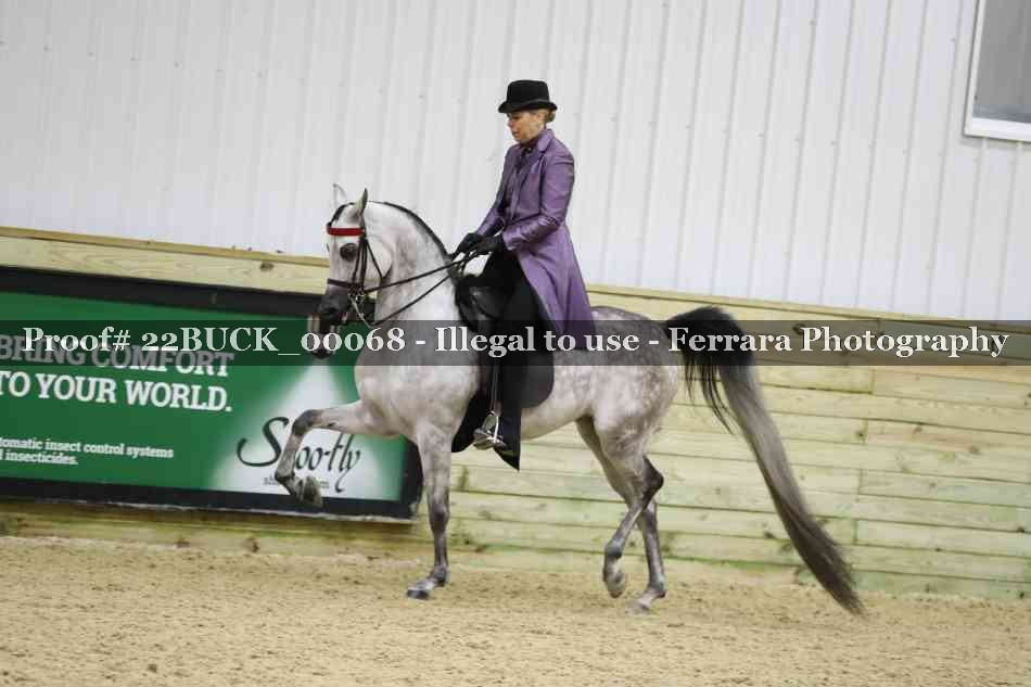 Proof 22BUCK_00068