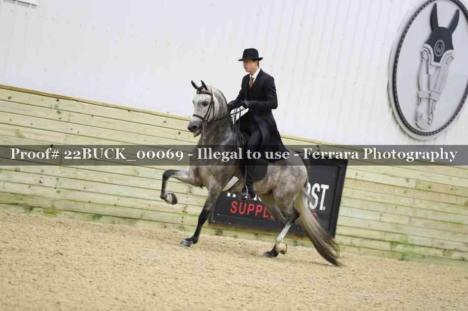 Proof 22BUCK_00069