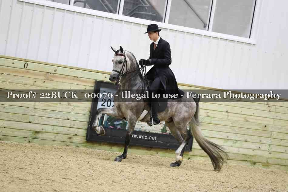 Proof 22BUCK_00070