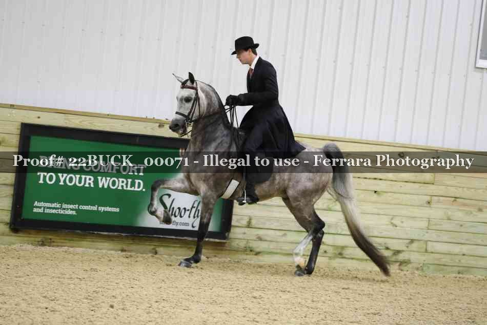Proof 22BUCK_00071