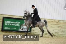 22BUCK_00071 proof