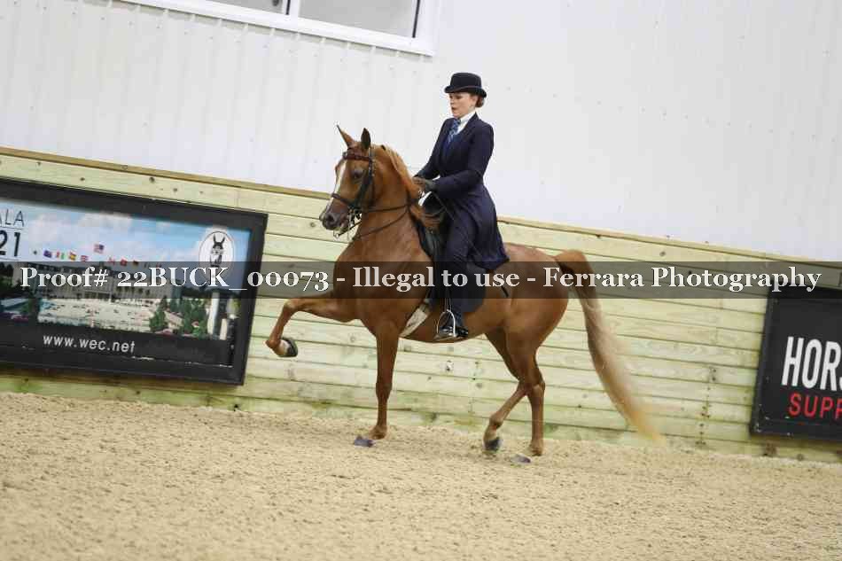 Proof 22BUCK_00073