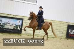 22BUCK_00073 proof